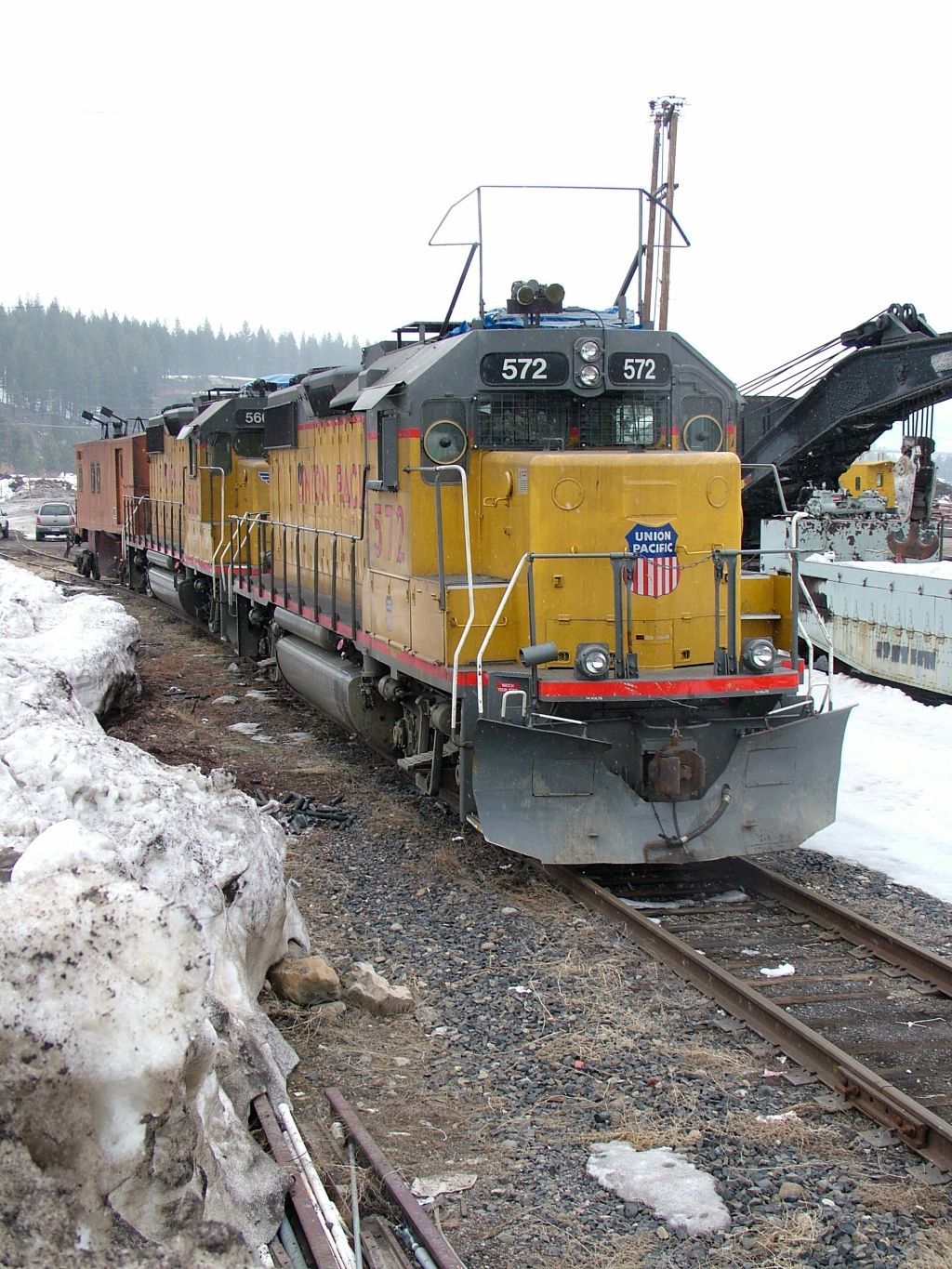 Waiting for the next blizzard.